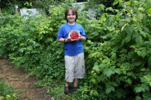 child holding bowl of berries