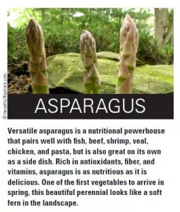 Asparagus