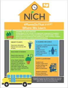 Infographic - Plants do that where we learn