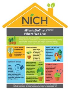 Info Graphic on Benefits of Indoor Plants
