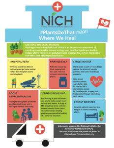 Infographic on Plants and Health