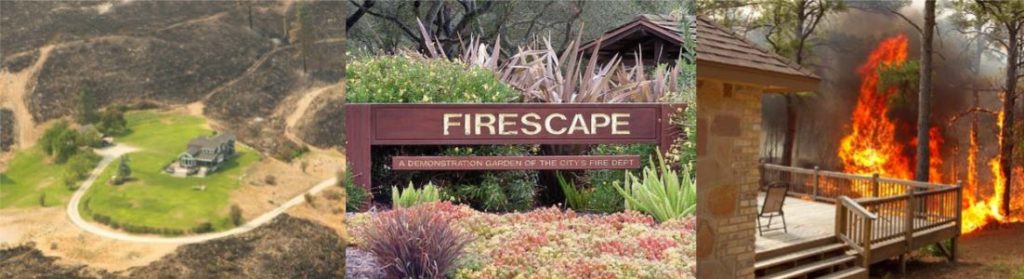 Firescape banner