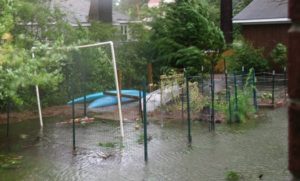 garden exposed to flood waters