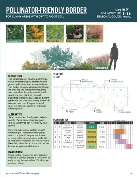 Pollinator friendly border design