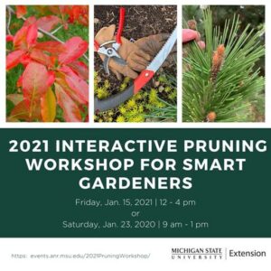 Course Announcement