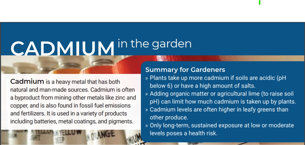 cadmium uses