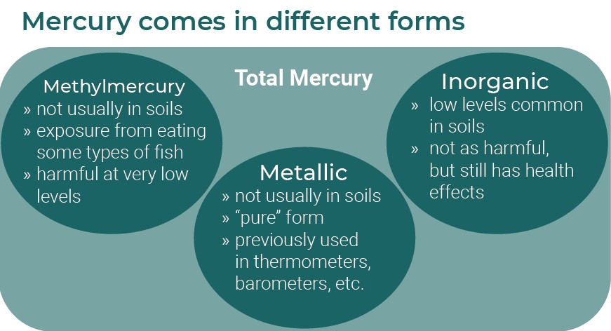 Mercury types
