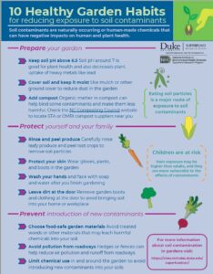 10 Healthy Garden Tips