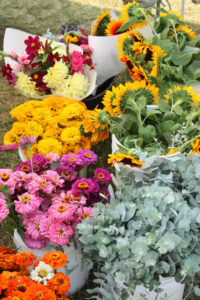 Various cut flowers in shades of yellow, pink, red and green sit in white buckets.