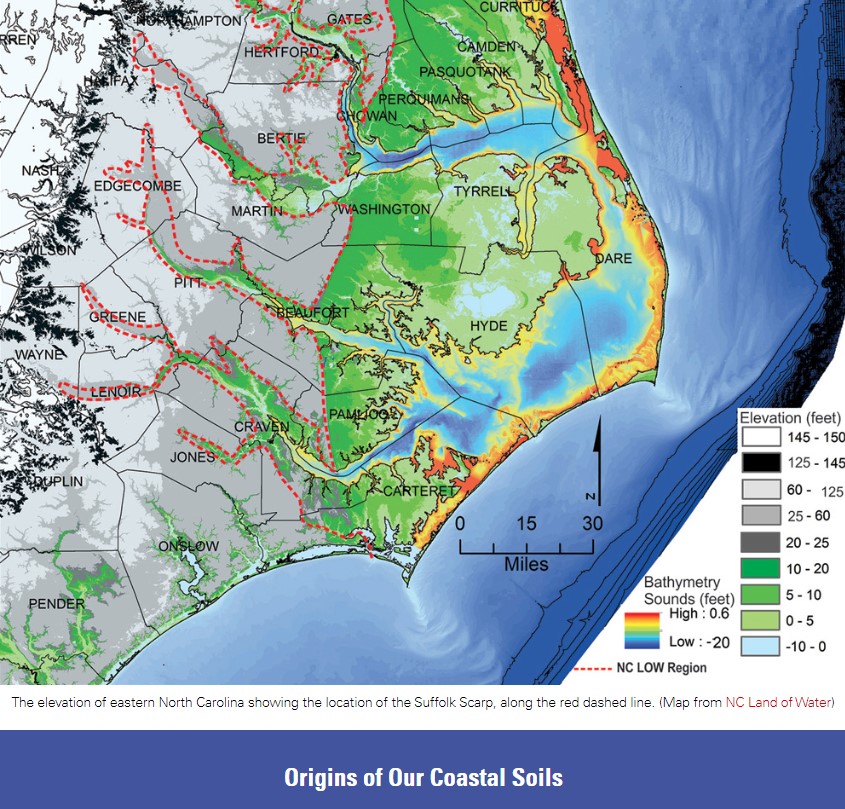 Elevation of eastern North Carolina showing the location of the Suffolk Scarp.