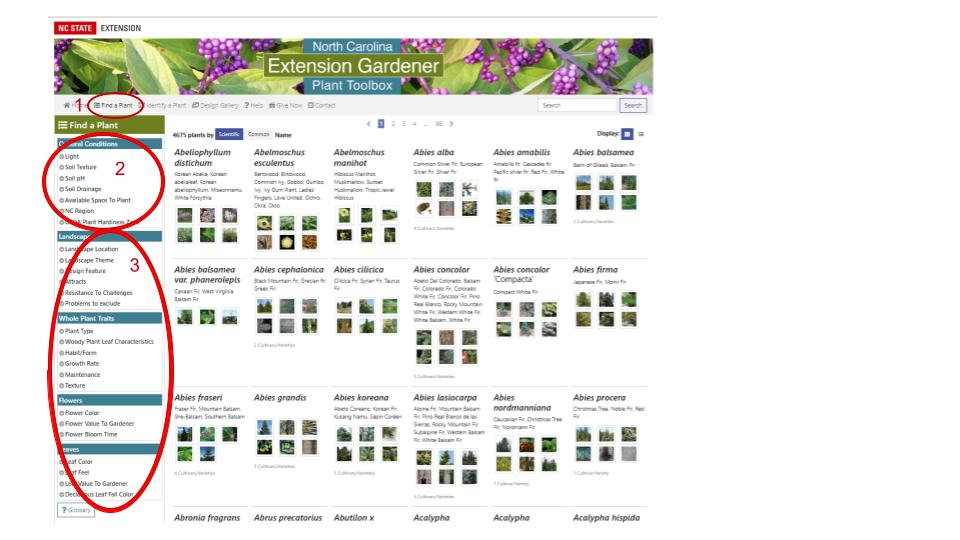 Screen Shot of Find a Plant Screen