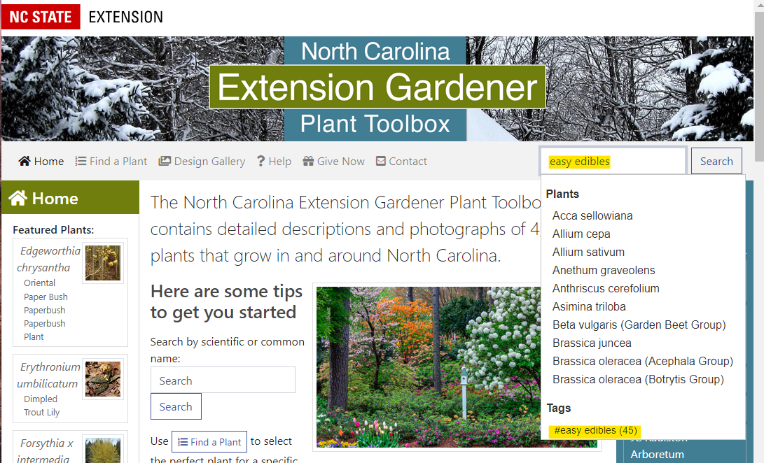Image of the search feature on plant toolbox